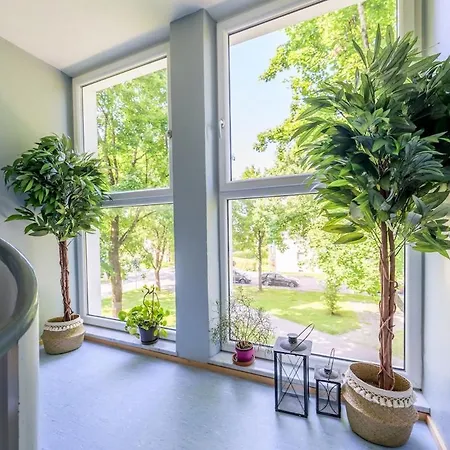 Eg M Schoene 70m2 Grosse 2-zimmer Naehe Salzburg * Freilassing